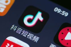 4分钟科普下!西双版纳州门户网_哔哩哔哩-2